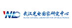 武汉光电国家研究中心